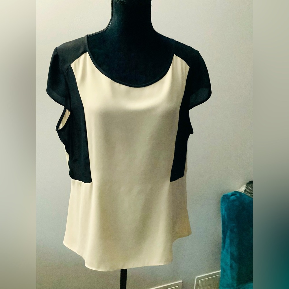 Elegant The Limited top 🌷